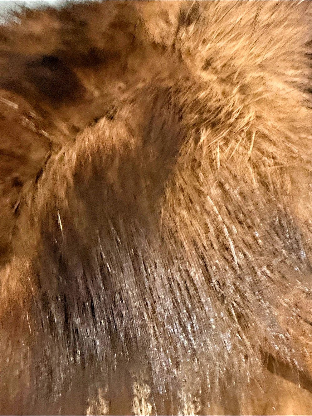 Prada Brown Leather Fur-Collar Coat Size 38 Like New 🧥🤎 vintage Y2K - Picture 13 of 16